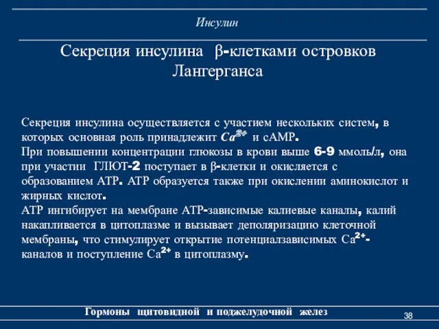 Инсулин Гормоны щитовидной и поджелудочной желез Секреция инсулина β-клетками островков