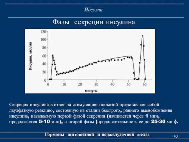 Инсулин Гормоны щитовидной и поджелудочной желез Фазы секреции инсулина Секреция