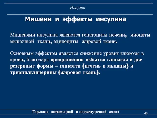 Инсулин Гормоны щитовидной и поджелудочной желез Мишени и эффекты инсулина