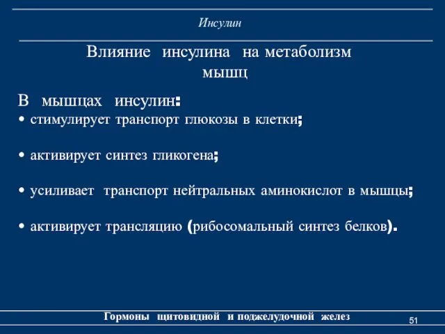 Инсулин Гормоны щитовидной и поджелудочной желез Влияние инсулина на метаболизм