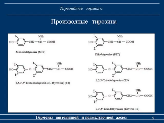 Тиреоидные гормоны Гормоны щитовидной и поджелудочной желез Производные тирозина