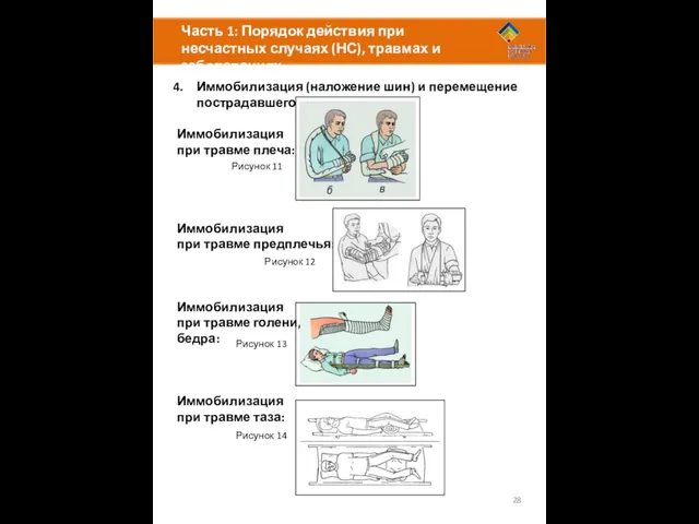 Часть 1: Порядок действия при несчастных случаях (НС), травмах и