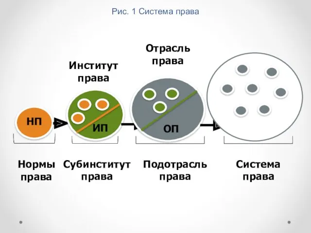 Рис. 1 Система права НП Нормы права Институт права ИП