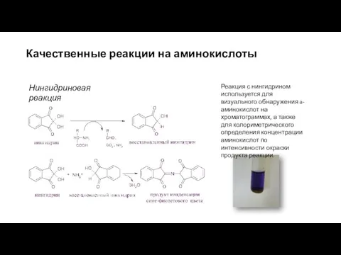 Качественные реакции на аминокислоты Реакция с нингидрином используется для визуального