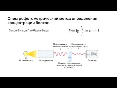 Спектрофотометрический метод определения концентрации белков Закон Бугера-Ламберта-Бера