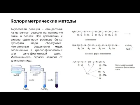 Колориметрические методы Биуретовая реакция – стандартная качественная реакция на пептидную