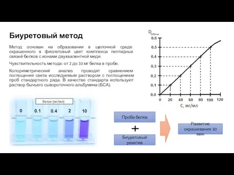 Биуретовый метод Метод основан на образовании в щелочной среде окрашенного