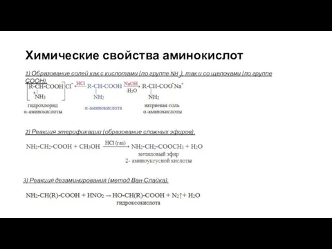 Химические свойства аминокислот 1) Образование солей как с кислотами (по