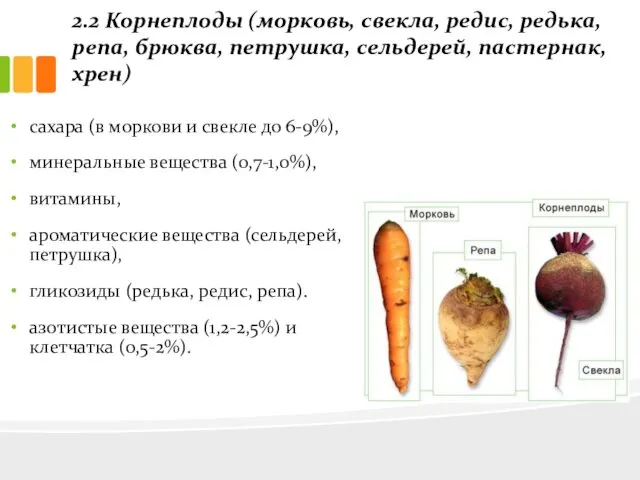 2.2 Корнеплоды (морковь, свекла, редис, редька, репа, брюква, петрушка, сельдерей,