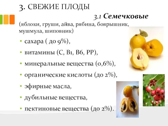 3. СВЕЖИЕ ПЛОДЫ 3.1 Семечковые (яблоки, груши, айва, рябина, боярышник,