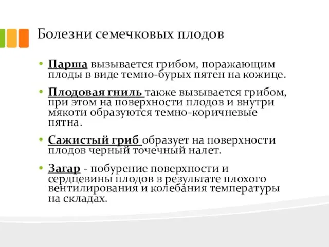 Болезни семечковых плодов Парша вызывается грибом, поражающим плоды в виде