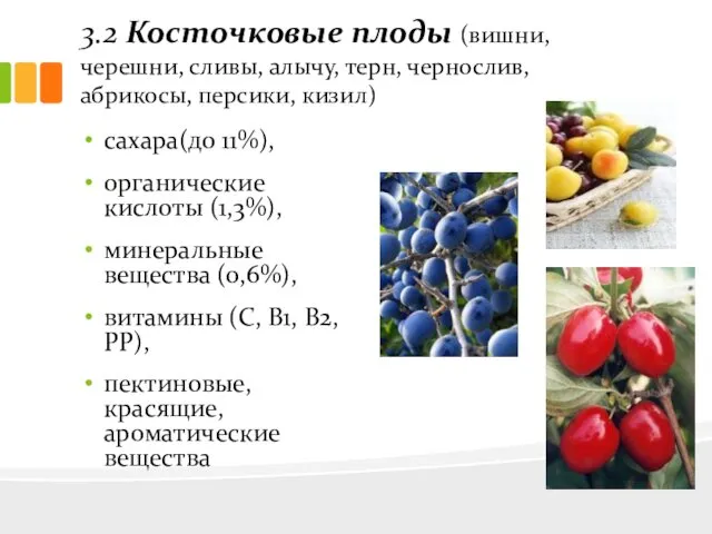 3.2 Косточковые плоды (вишни, черешни, сливы, алычу, терн, чернослив, абрикосы,