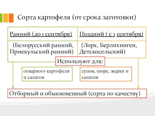 Сорта картофеля (от срока заготовки) Ранний (до 1 сентября) (Белорусский