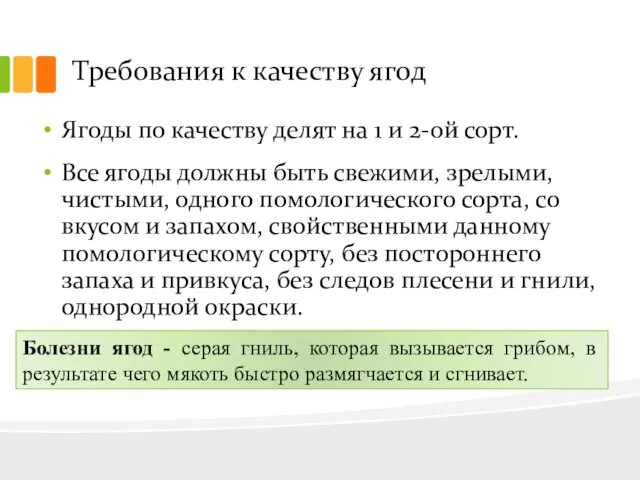 Требования к качеству ягод Ягоды по качеству делят на 1