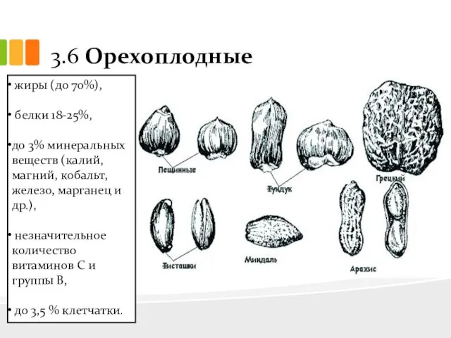 3.6 Орехоплодные жиры (до 70%), белки 18-25%, до 3% минеральных