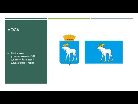 ЛОСЬ Герб и флаг, утвержденнные в 2011, до этого было еще 3 других флага и герба