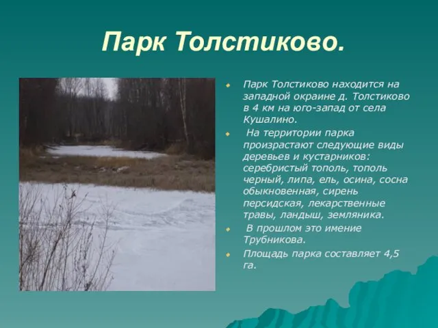 Парк Толстиково. Парк Толстиково находится на западной окраине д. Толстиково