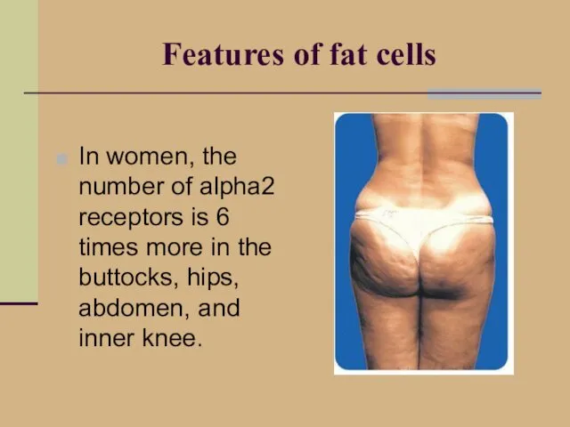 Features of fat cells In women, the number of alpha2