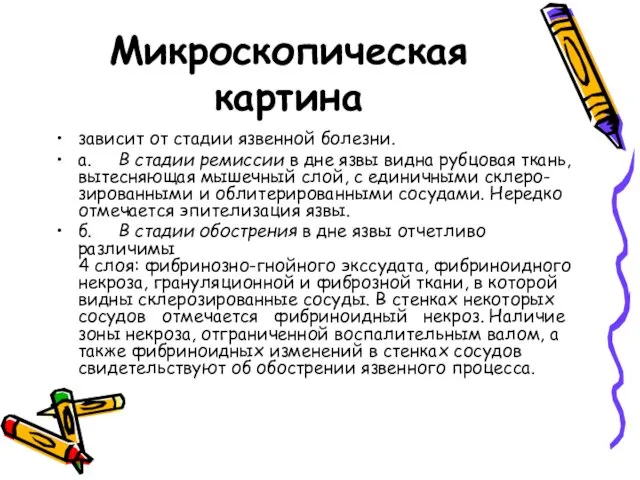 Микроскопическая картина зависит от стадии язвенной болезни. а. В стадии ремиссии в дне