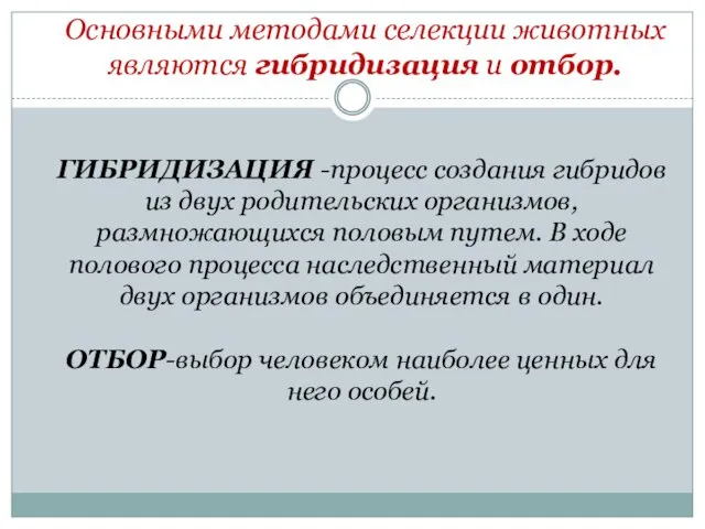 ГИБРИДИЗАЦИЯ -процесс создания гибридов из двух родительских организмов, размножающихся половым