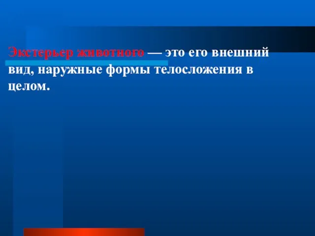 Экстерьер животного — это его внешний вид, наружные формы телосложения в целом.