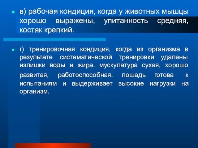 в) рабочая кондиция, когда у животных мышцы хорошо выражены, упитанность