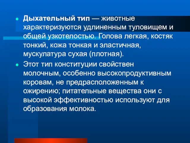 Дыхательный тип — животные характеризуются удлиненным туловищем и общей узкотелостью.