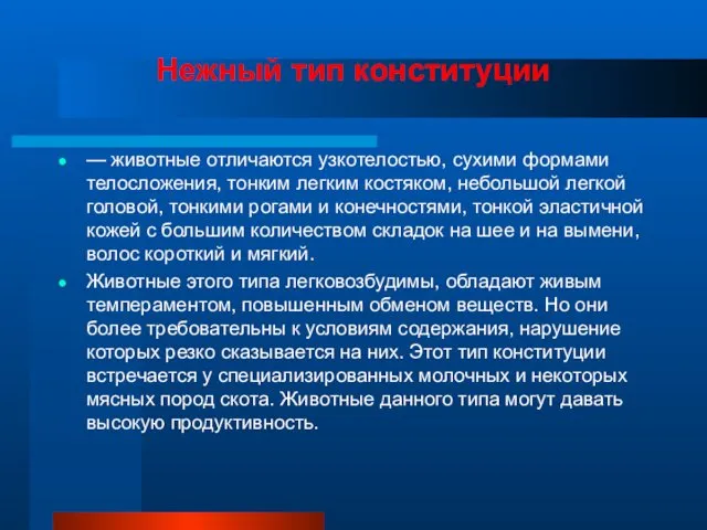 Нежный тип конституции — животные отличаются узкотелостью, сухими формами телосложения,