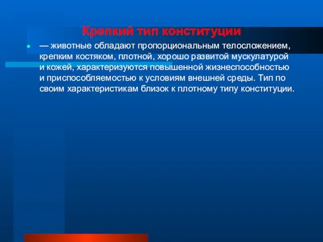 Крепкий тип конституции — животные обладают пропорциональным телосложением, крепким костяком,