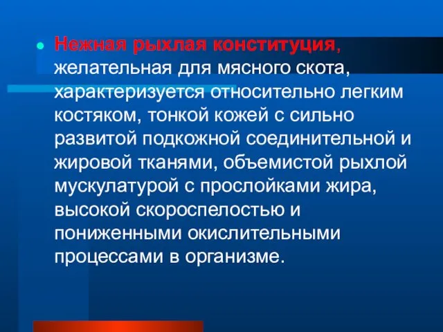 Нежная рыхлая конституция, желательная для мясного скота, характеризуется относительно легким