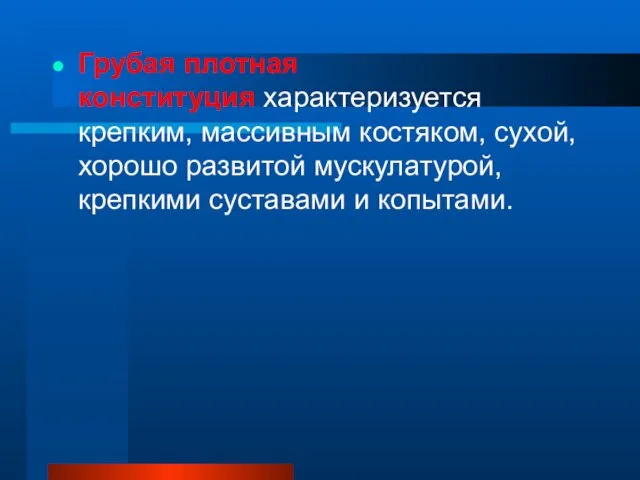 Грубая плотная конституция характеризуется крепким, массивным костяком, сухой, хорошо развитой мускулатурой, крепкими суставами и копытами.