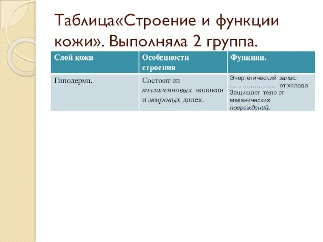 Таблица«Строение и функции кожи». Выполняла 2 группа.