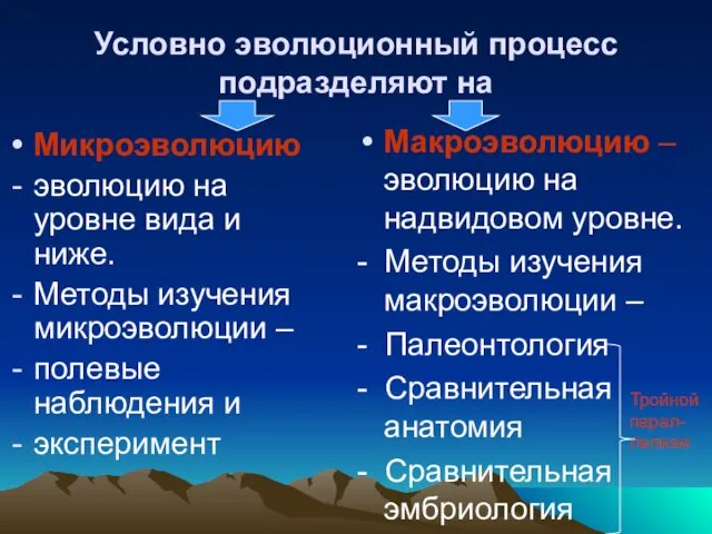 Условно эволюционный процесс подразделяют на Микроэволюцию эволюцию на уровне вида