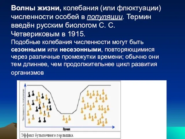 Волны жизни, колебания (или флюктуации) численности особей в популяции. Термин