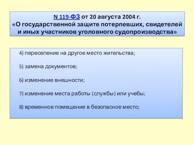 N 119-ФЗ от 20 августа 2004 г. «О государственной защите
