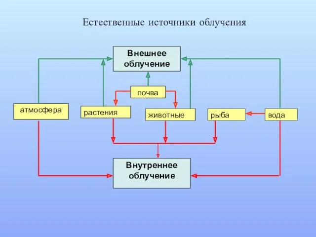 Естественные источники облучения Внешнее облучение почва атмосфера растения животные рыба вода Внутреннее облучение