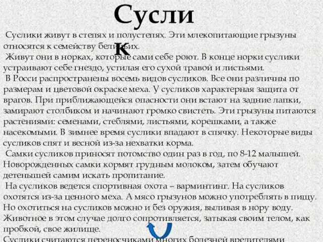 Суслик Суслики живут в степях и полустепях. Эти млекопитающие грызуны