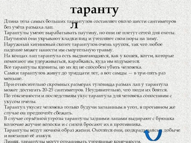 тарантул Длина тела самых больших тарантулов составляет около шести сантиметров