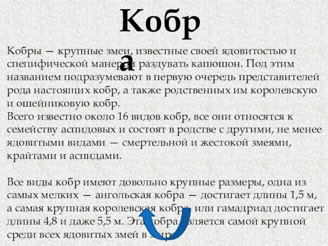 Кобра Кобры — крупные змеи, известные своей ядовитостью и специфической