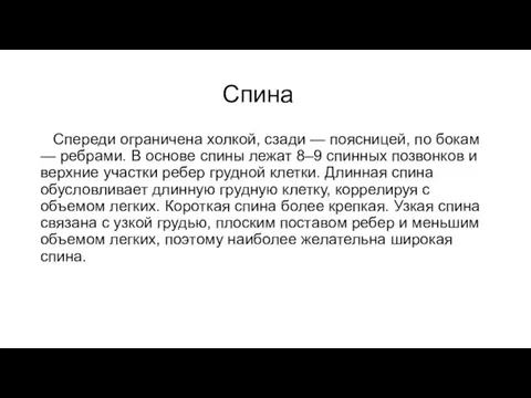 Спина Спереди ограничена холкой, сзади — поясницей, по бокам — ребрами. В основе