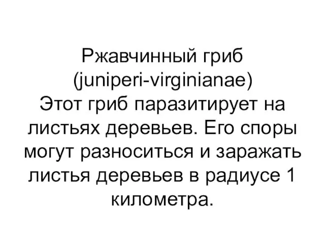 Ржавчинный гриб (juniperi-virginianae) Этот гриб паразитирует на листьях деревьев. Его