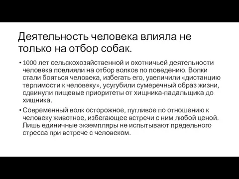 Деятельность человека влияла не только на отбор собак. 1000 лет