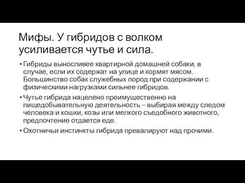 Мифы. У гибридов с волком усиливается чутье и сила. Гибриды