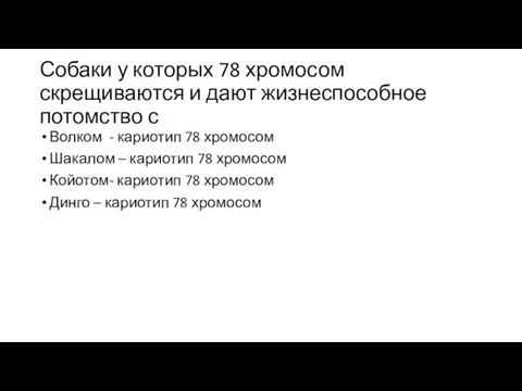 Собаки у которых 78 хромосом скрещиваются и дают жизнеспособное потомство