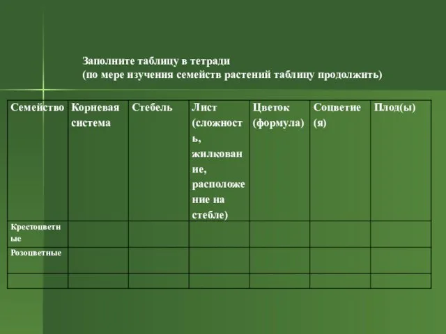 Заполните таблицу в тетради (по мере изучения семейств растений таблицу продолжить)