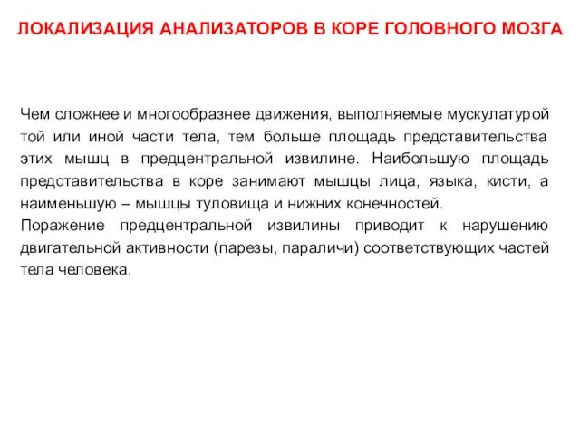 ЛОКАЛИЗАЦИЯ АНАЛИЗАТОРОВ В КОРЕ ГОЛОВНОГО МОЗГА Чем сложнее и многообразнее