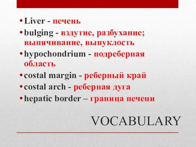 VOCABULARY Liver - печень bulging - вздутие, разбухание; выпячивание, выпуклость