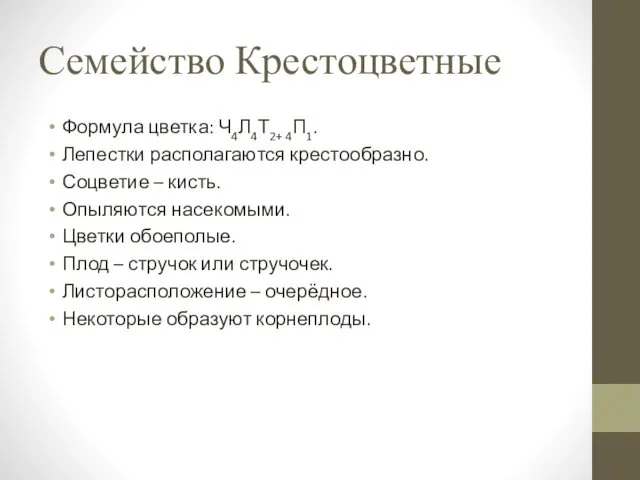 Семейство Крестоцветные Формула цветка: Ч4Л4Т2+ 4П1. Лепестки располагаются крестообразно. Соцветие