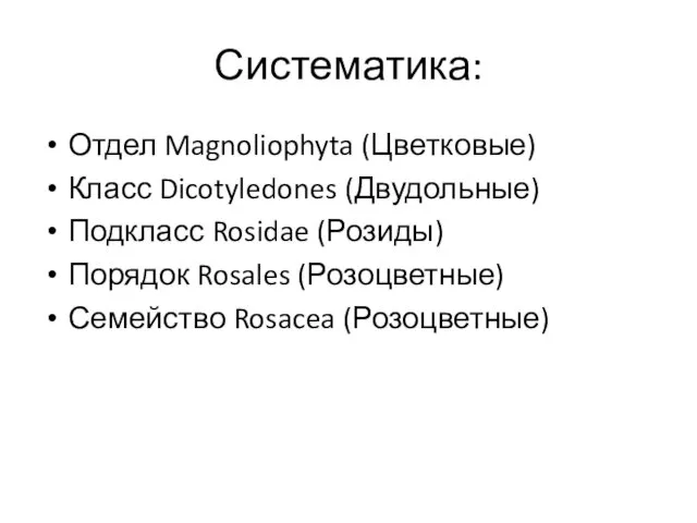 Систематика: Отдел Magnoliophyta (Цветковые) Класс Dicotyledones (Двудольные) Подкласс Rosidae (Розиды) Порядок Rosales (Розоцветные) Семейство Rosacea (Розоцветные)