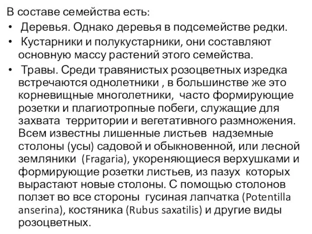 В составе семейства есть: Деревья. Однако деревья в подсемействе редки. Кустарники и полукустарники,